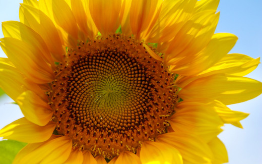 464865 (a): :2560x1600